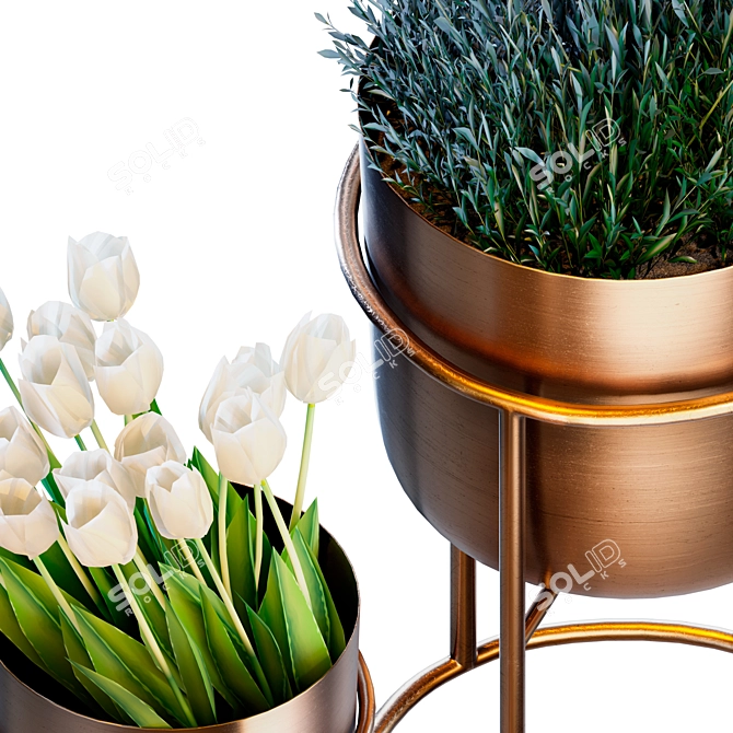 Golden Plant Pot Set.IntegerField 3D model image 2