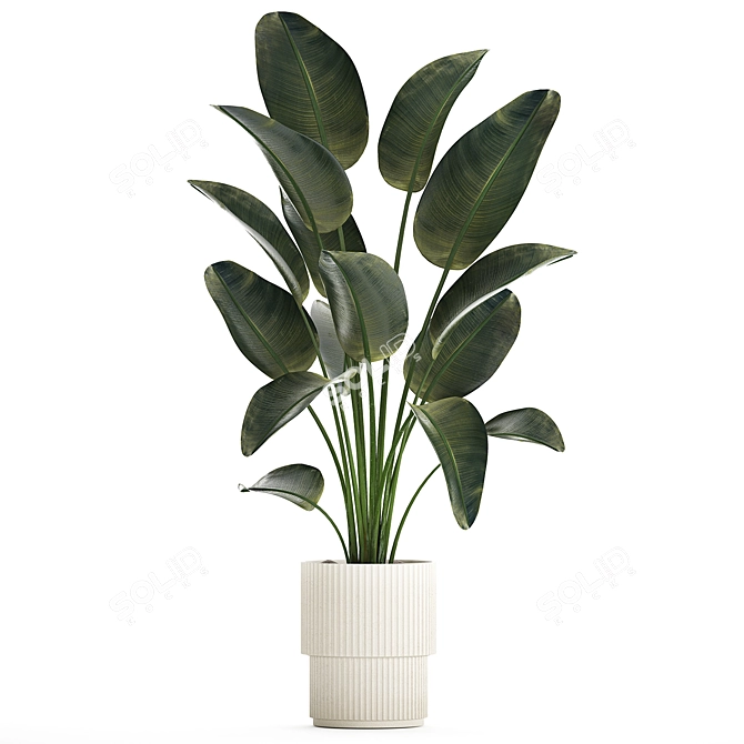 Tropical Exotic Plant Décor. 3D model image 1