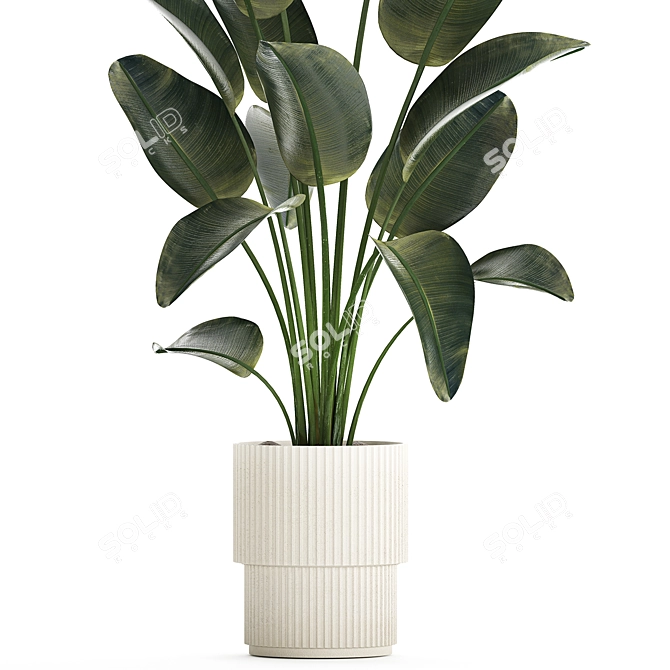 Tropical Exotic Plant Décor. 3D model image 3