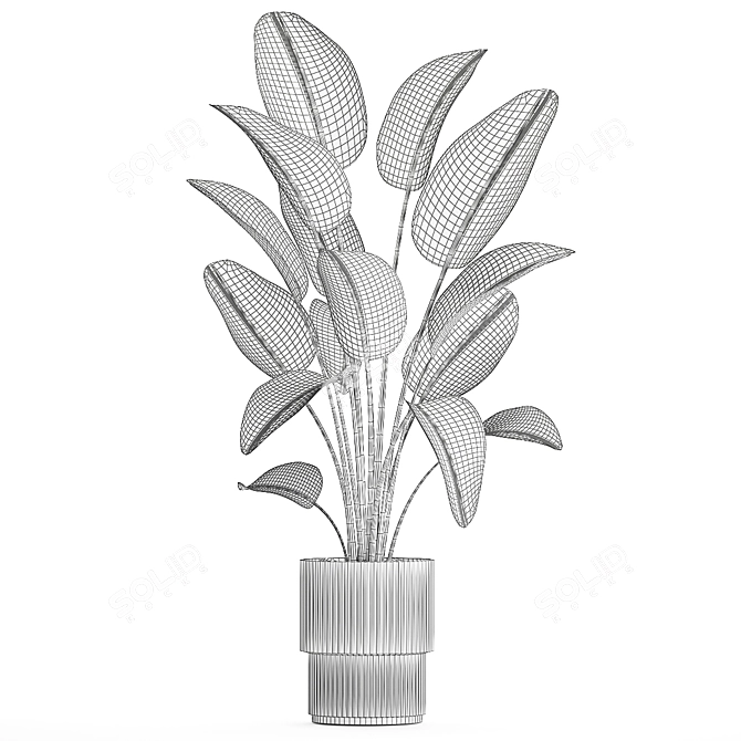 Tropical Exotic Plant Décor. 3D model image 5