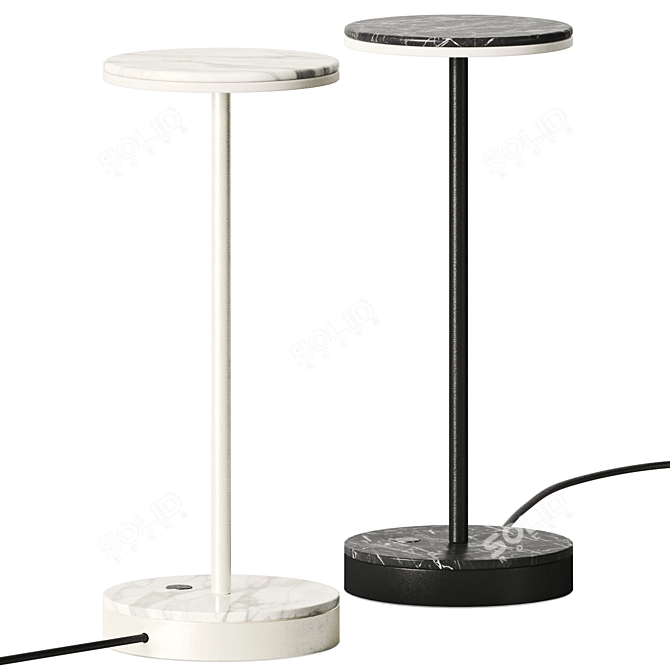 Gemini Stone Metal Lamp 3D 3D model image 1