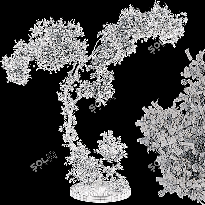 Bonsai Lemon Tree Collection 123 3D model image 7