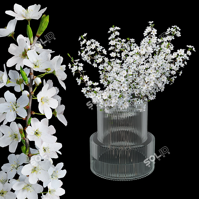 Blooming Plum Branches in H&M Vase 3D model image 1