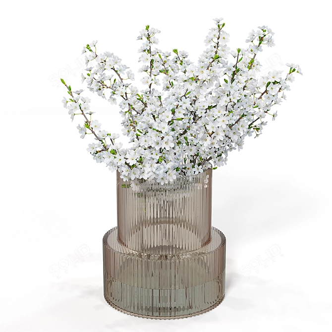 Blooming Plum Branches in H&M Vase 3D model image 2