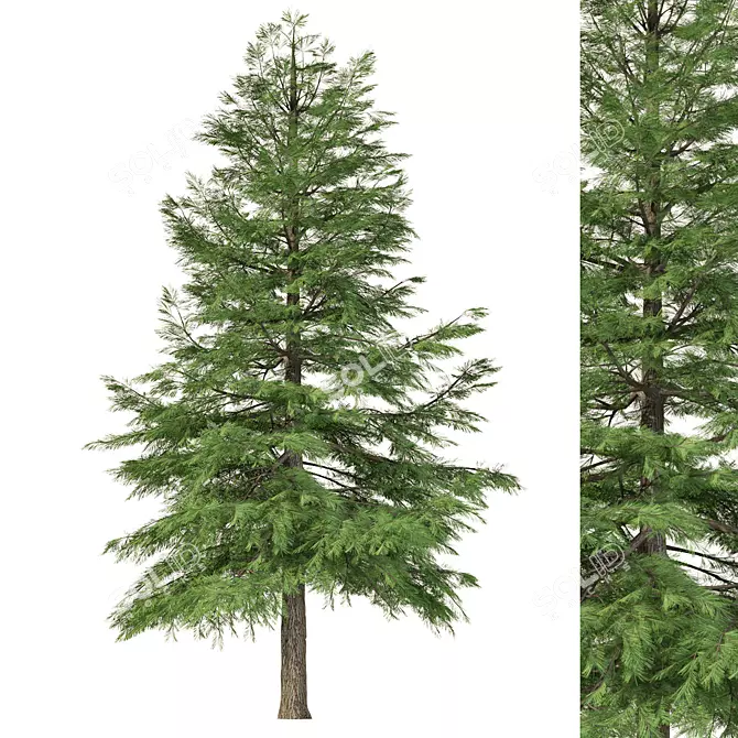 Geometry Pine Tree Sculpture 3D model image 1