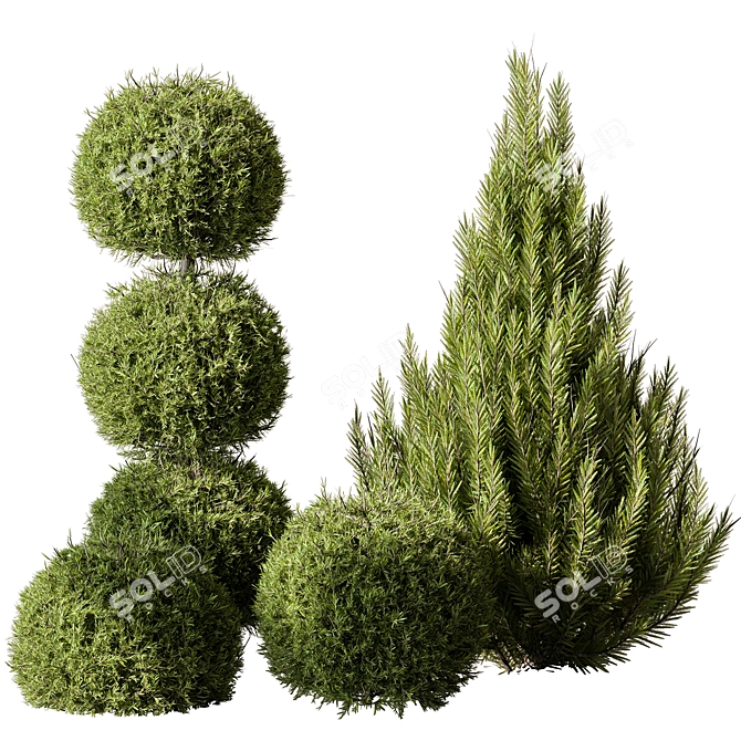 Russian Pine Bush Set 116 3D model image 1