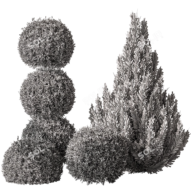 Russian Pine Bush Set 116 3D model image 5