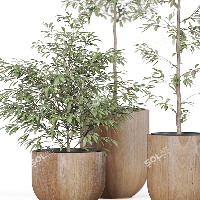 Large Plant Variety Bundle 3D model image 2