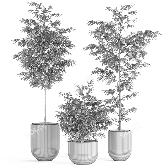 Large Plant Variety Bundle 3D model image 4