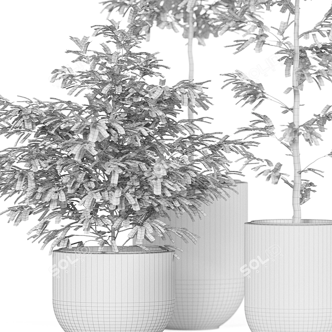 Large Plant Variety Bundle 3D model image 5