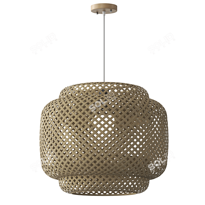 Natural Rattan Ceiling Lamp 3D model image 1