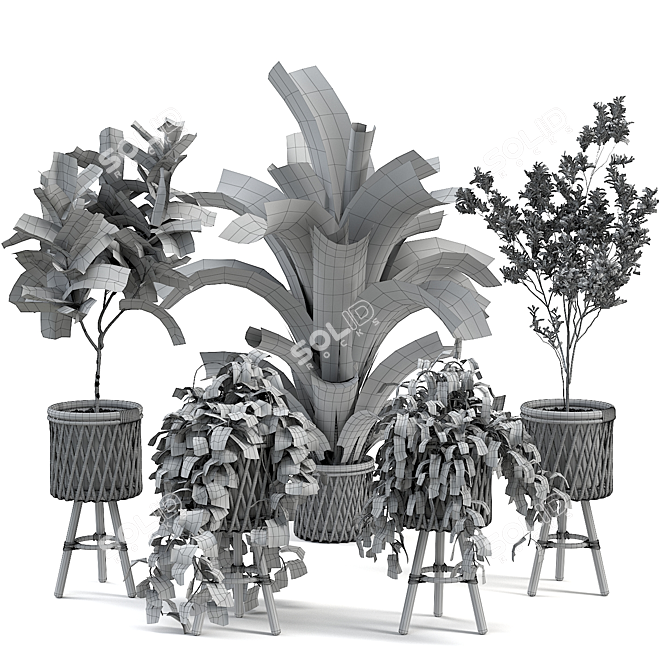 Translated Description: "A beautiful and diverse selection of indoor plants, perfect for creating a green oasis in your home."

Diverse Indoor Plant Collection 3D model image 5