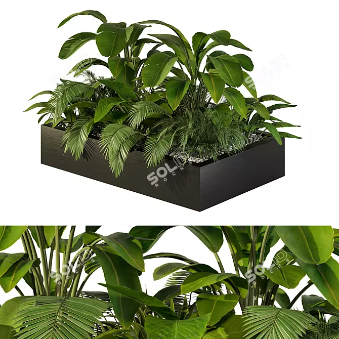 Tropical Jungle Indoor Plant Set 3D model image 1