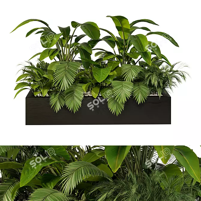 Tropical Jungle Indoor Plant Set 3D model image 2