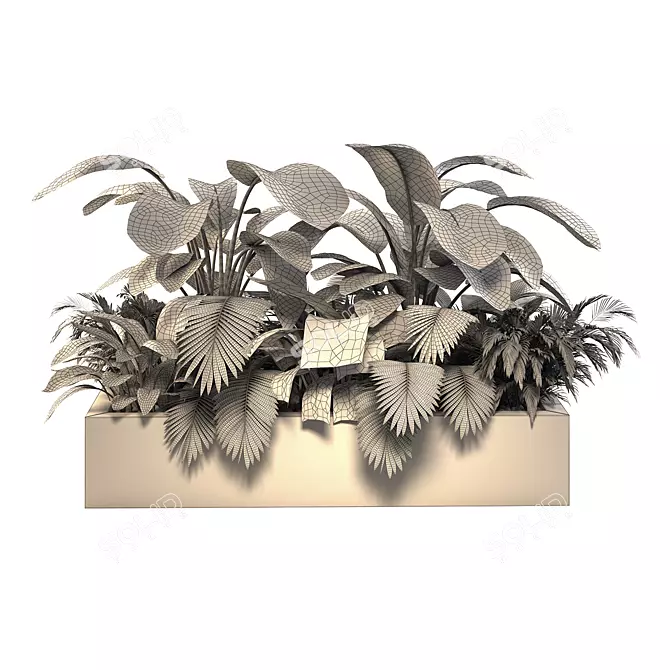 Tropical Jungle Indoor Plant Set 3D model image 5