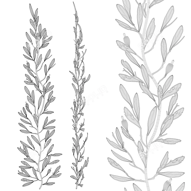 Elegant Olivia M Chandelier 3D model image 2