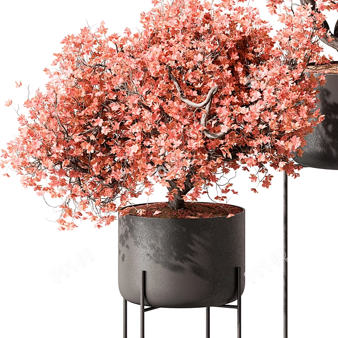 Potted Flower Plant Décor 3D model image 2