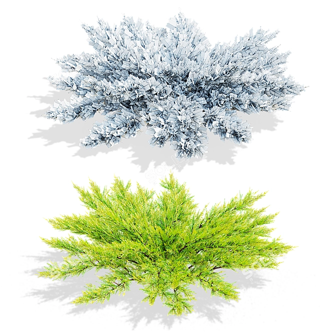 Lime Glow Juniperus Horizontalis Bushes 3D model image 3