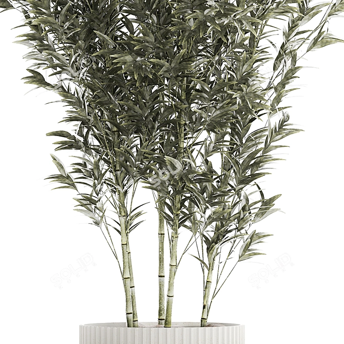 Elegant Bamboo Bush in White Floral Pot. Collection 1272 3D model image 3