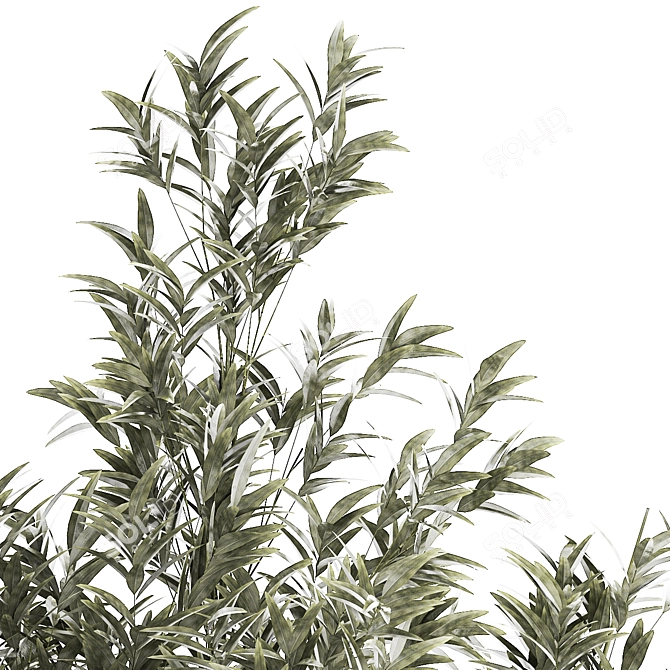 Elegant Bamboo Bush in White Floral Pot. Collection 1272 3D model image 4