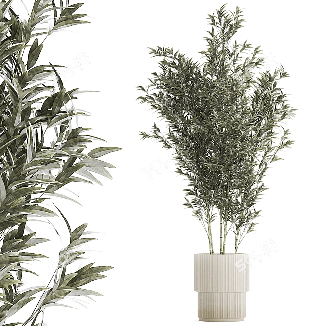 Elegant Bamboo Bush in White Floral Pot. Collection 1272 3D model image 8