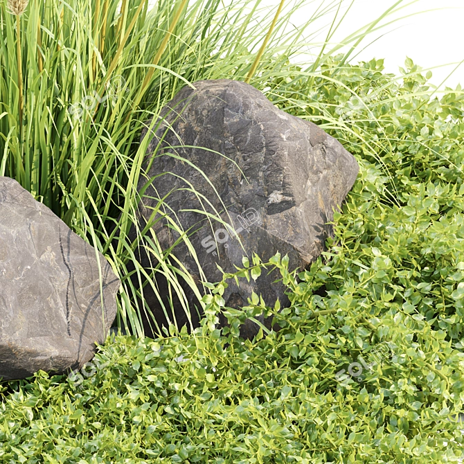 Ultimate Outdoor Plants Collection Vol.205 3D model image 2