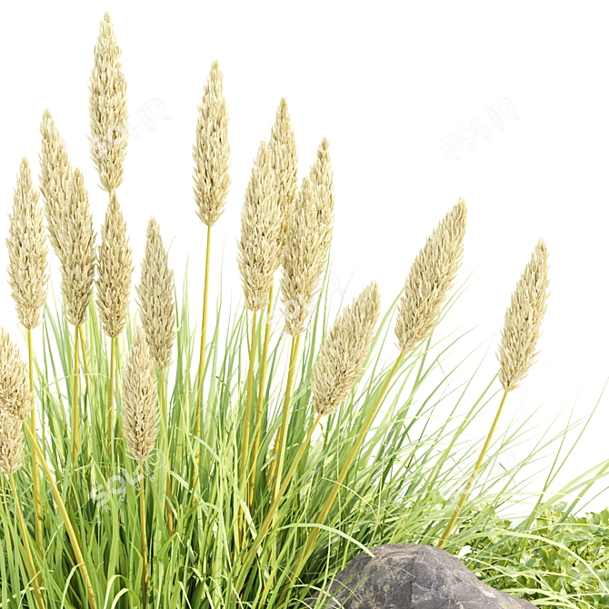 Ultimate Outdoor Plants Collection Vol.205 3D model image 3