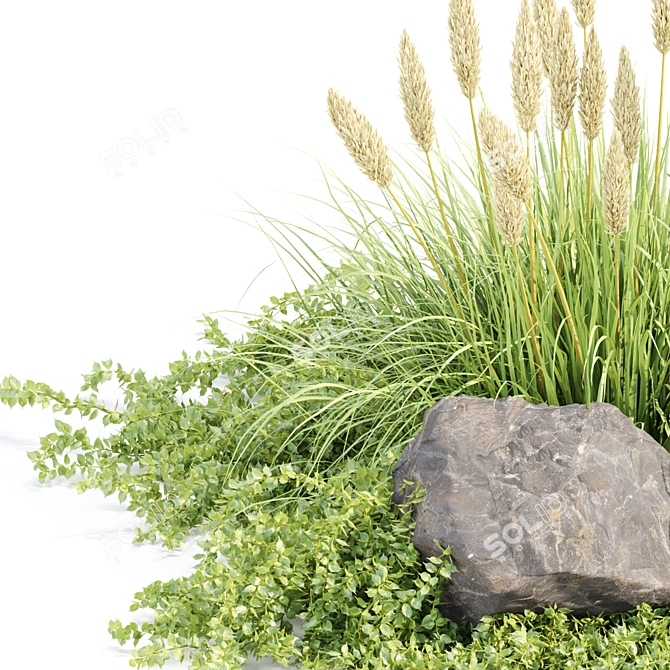 Ultimate Outdoor Plants Collection Vol.205 3D model image 4