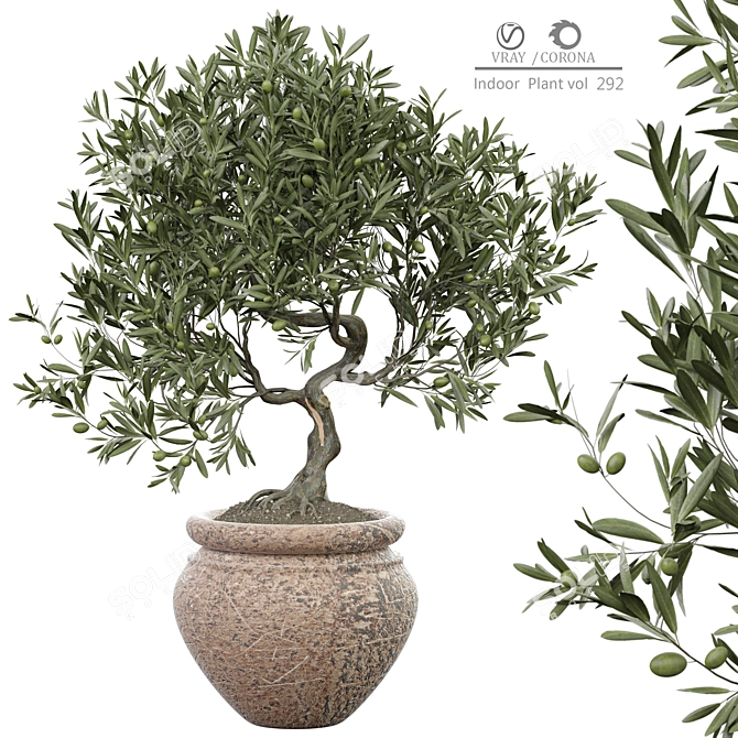 Modern Indoor Plant 3D Model 3D model image 1