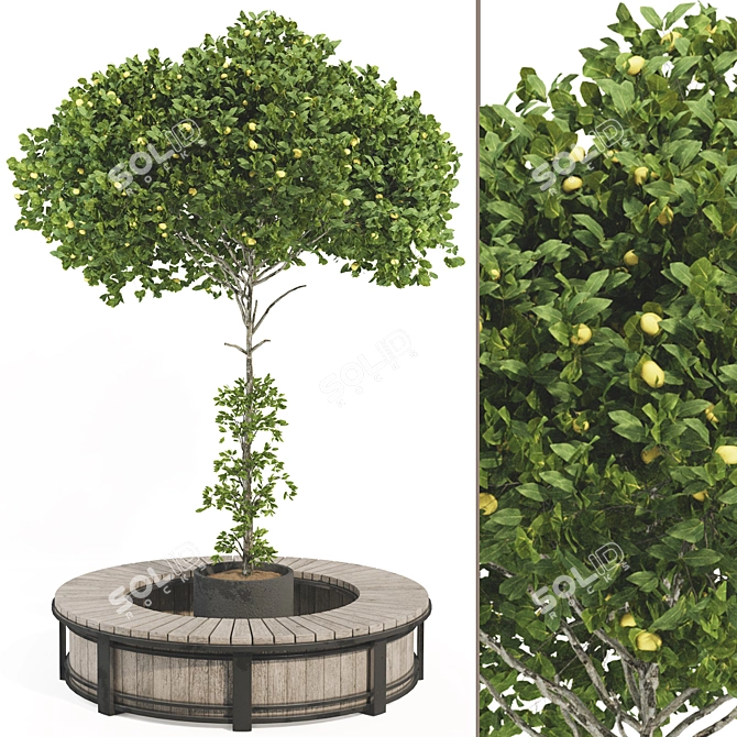 Citrus Garden Lemon Tree 126 3D model image 1