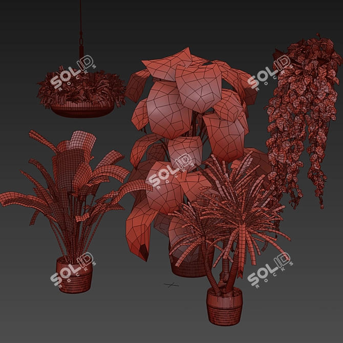 Quality Hanging Plant Collection - Palm, Banana, Monstera 3D model image 1