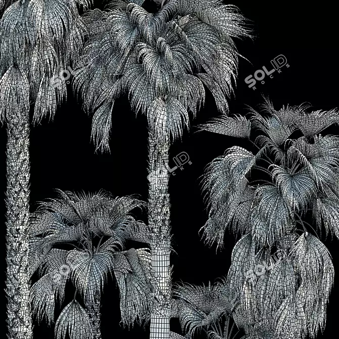 Robust Washingtonia Palm Set 3D model image 5