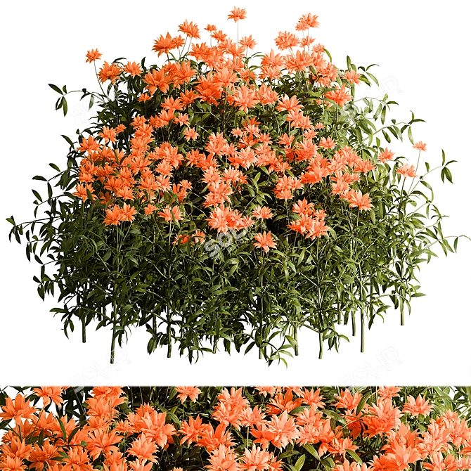 Floral Creeper Bush Set 114 3D model image 1