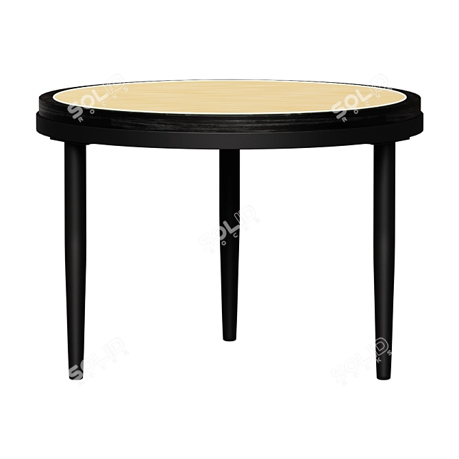  Hako Low Burned Black Coffee Table 3D model image 1