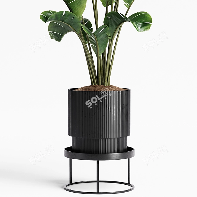 15 Indoor Plants Collection 3D model image 2