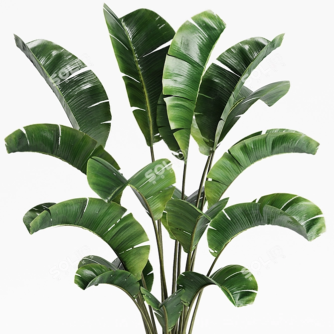 15 Indoor Plants Collection 3D model image 3