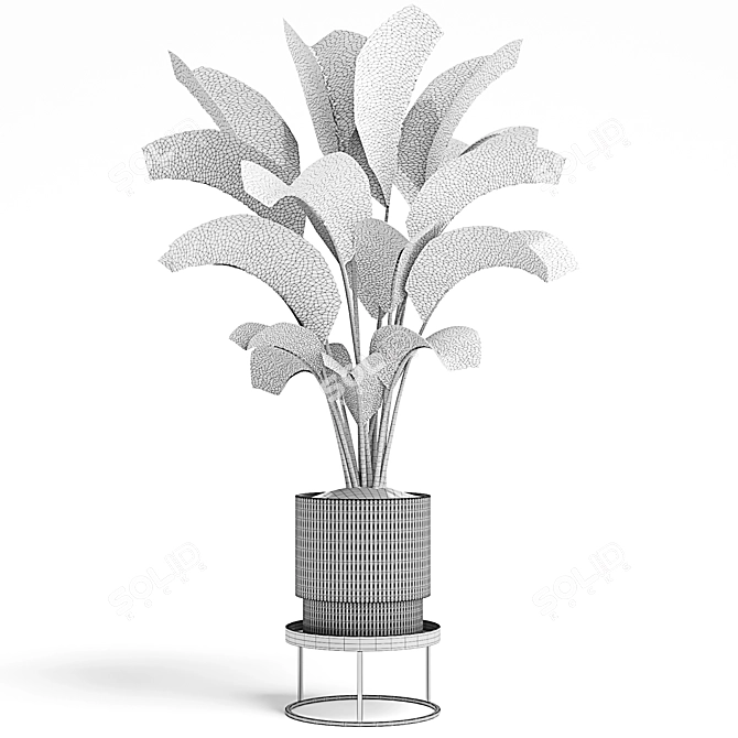 15 Indoor Plants Collection 3D model image 4