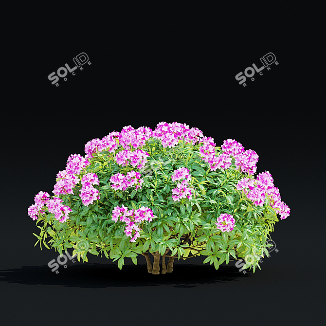 Rhododendron Hybrid Bush Set | 3D Models 3D model image 2