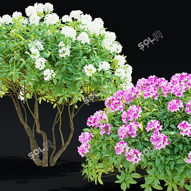 Rhododendron Hybrid Bush Set | 3D Models 3D model image 6