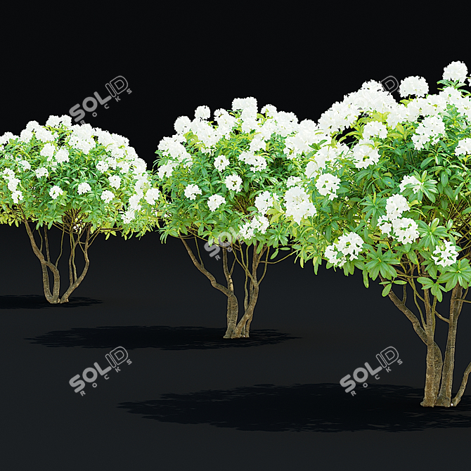 Rhododendron Hybrid Bush Set | 3D Models 3D model image 7