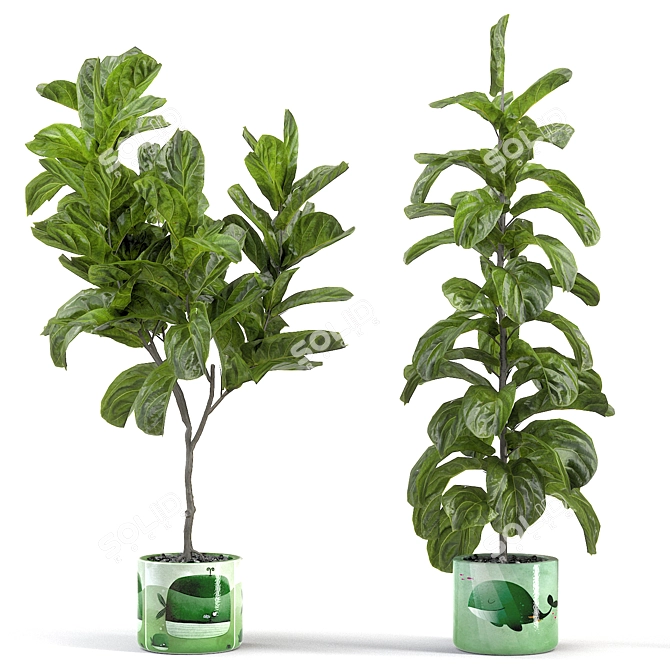 Kids' Room Fiddle Leaf Fig 3D model image 1