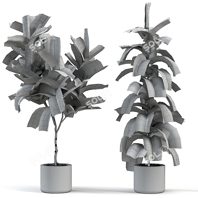 Kids' Room Fiddle Leaf Fig 3D model image 2