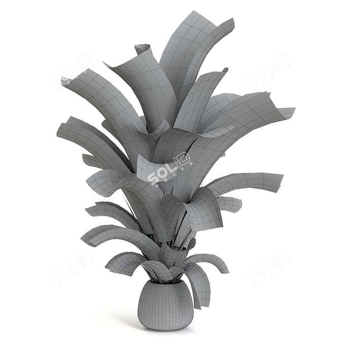 Tropical Banana Plant Mini Garden 3D model image 2