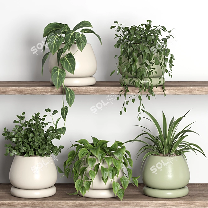 Modern Plant Shelf Display Stand 3D model image 3