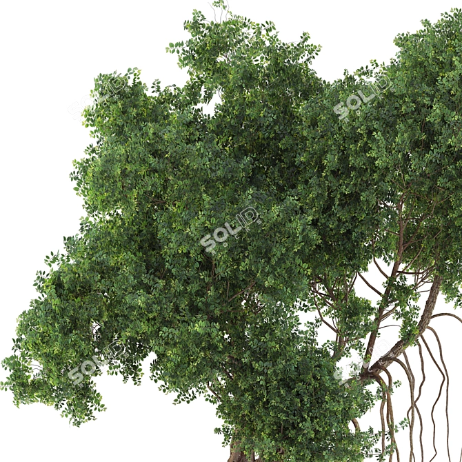  Garden Tree & Bush Plant Set 128 3D model image 3