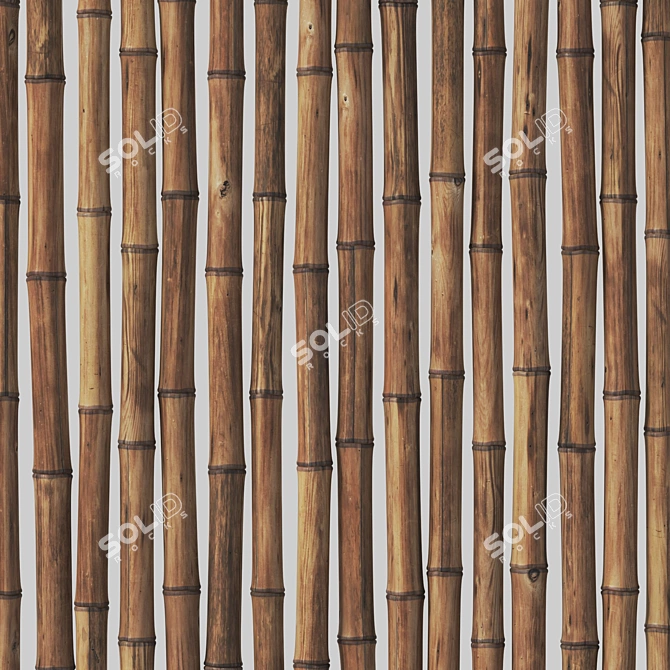 Bamboo Polygon Model with Vray 3D model image 2