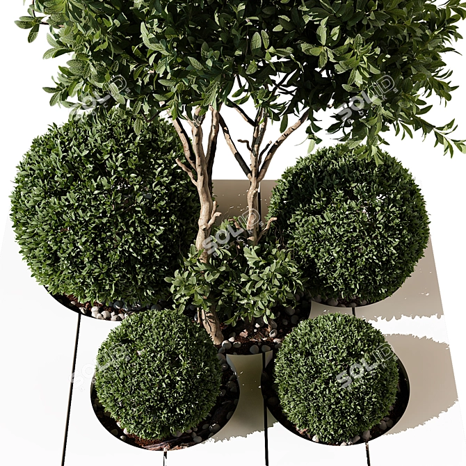 Outdoor Plant 233 Vray 3D Model 3D model image 3