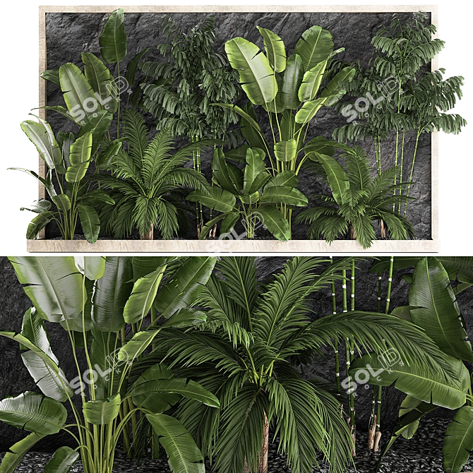 Exotic Tropical Plant Set 3D model image 1