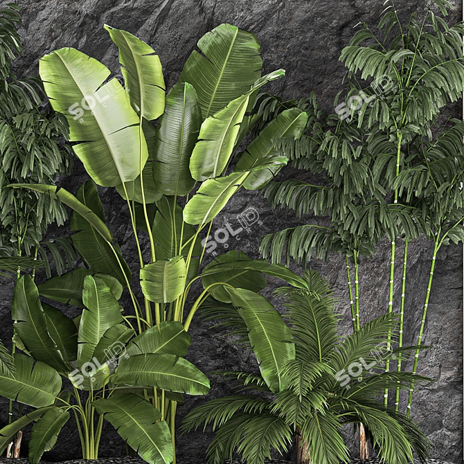 Exotic Tropical Plant Set 3D model image 2