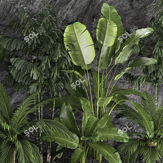 Exotic Tropical Plant Set 3D model image 4